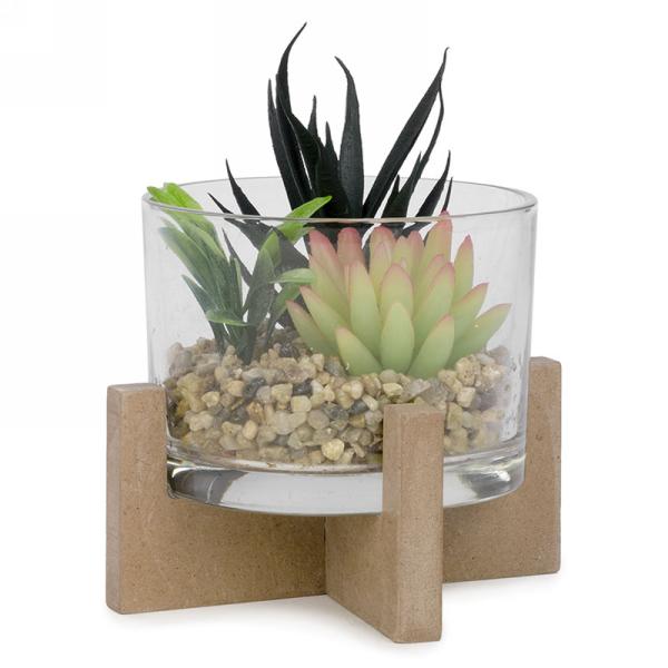 Cactus in glass on natural base