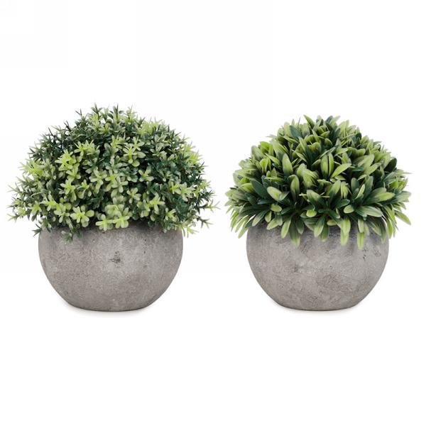 Foliage ball plant in grey pot