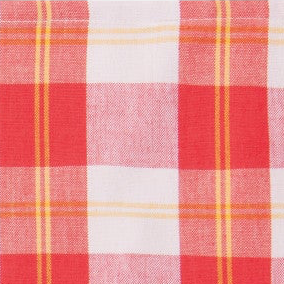 Plaid Dishtowel (red & yellow)