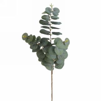 Dark green foliage branch